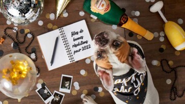 6 résolutions pour la Nouvelle Année qui amélioreront aussi la vie de votre chien !