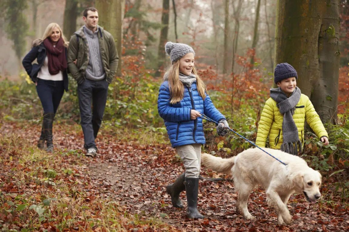 Famille promenant un chien dans une forêt d'hiver