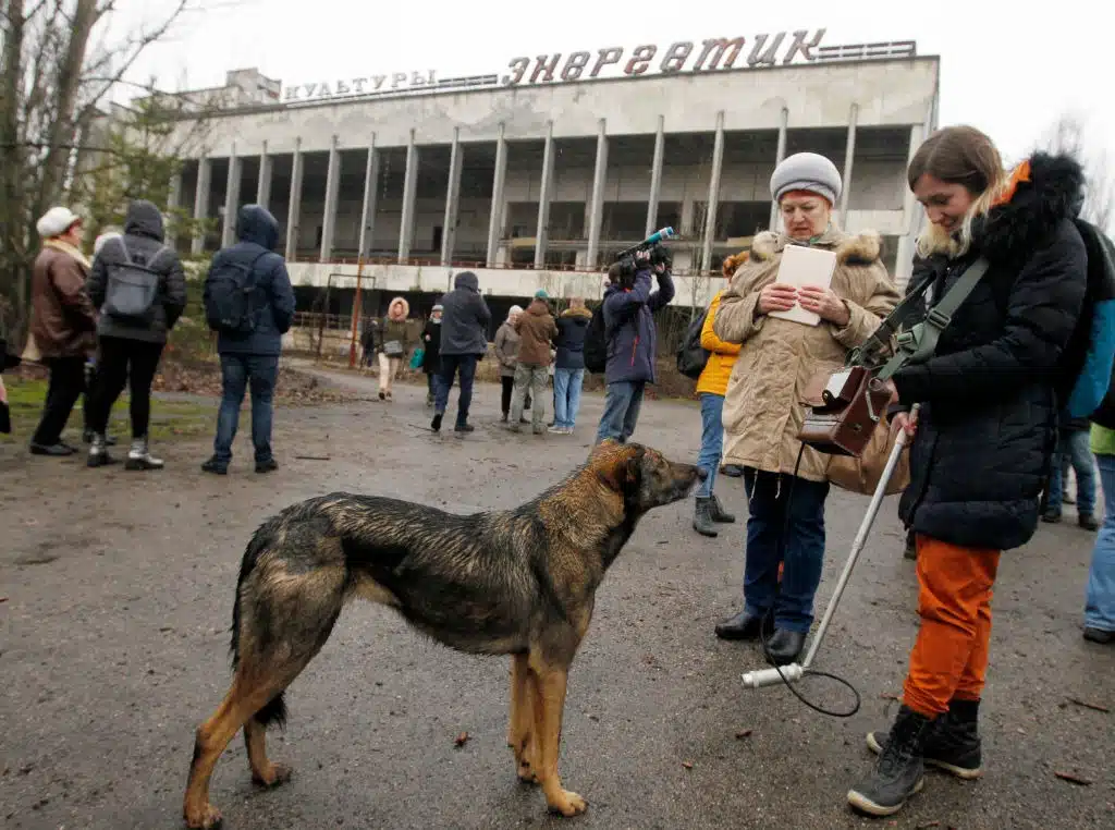 Des chiens mutants à Tchernobyl ?