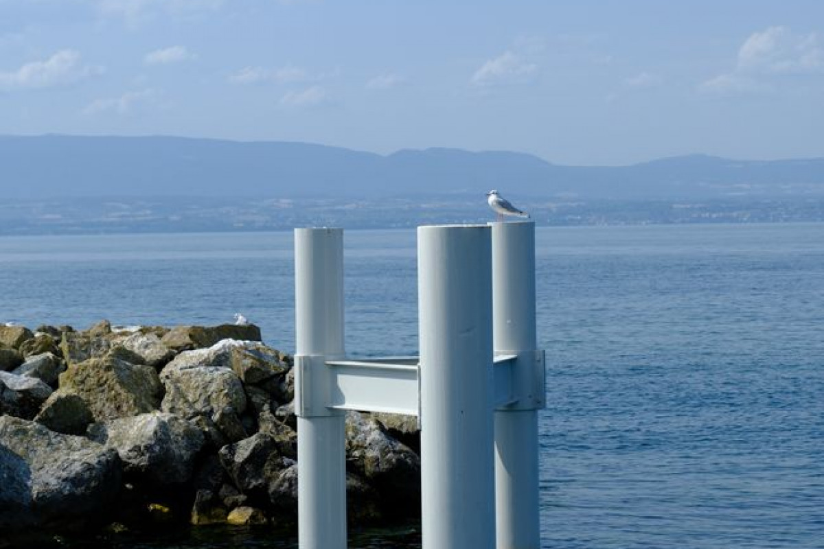 L'emplacement idéal: calme, légèrement élevé, loin des bruits L'emplacement idéal: calme, légèrement élevé, loin des bruits