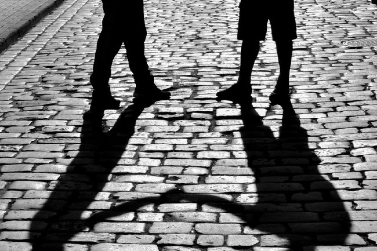 Ce qu'on peut en conclure sur la relation humain-chat Ce qu'on peut en conclure sur la relation humain-chat